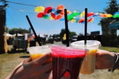 Stadsfruit-Smoothie-fun