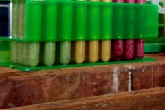 reageerbuisjes-met-smoothies
